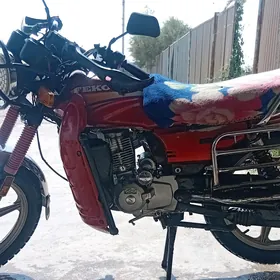 Fekon FK150-8G 2015