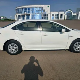 Toyota Corolla Hybrid 2019