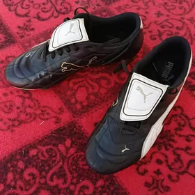 Puma butsi