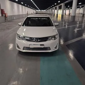 Toyota Camry 2013