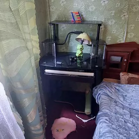 Telewizor pastawka 2sany
