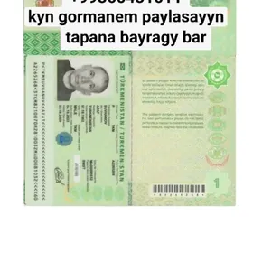 Pasport yitirdim