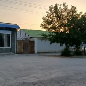 Bagyr 10 sot