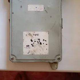 Kompyuter Hayis 1990ýyl