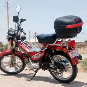 Fekon FK150-8G 2022