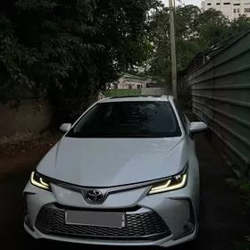 Toyota Corolla 2023