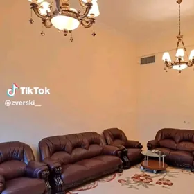 элитка