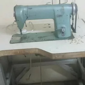 Çehol tikyan dikin masyn