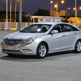 Hyundai Sonata 2010