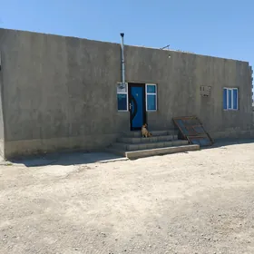 Baherden arenda jay