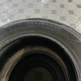 Pokryşka Покрышка