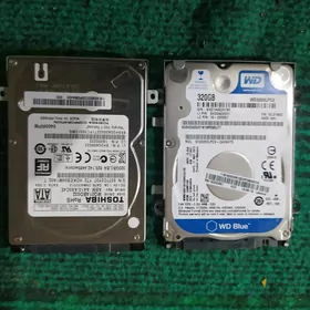 320 GB žostkiy