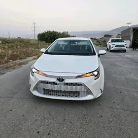 Toyota Corolla 2020