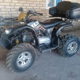 Fekon FK200-14G 2022