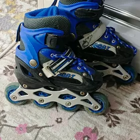 caga rolik