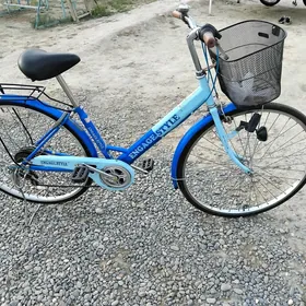 TIGIR YAPOȘKA 27 LIK