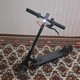 Skuter ulularnky