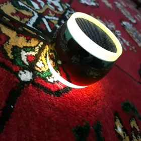 Kici kolonka