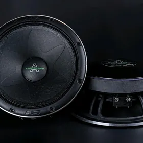 aparatura pioneer