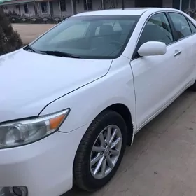 Toyota Camry 2010