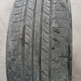 225 55 17