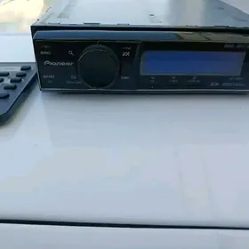 delfin pioneer