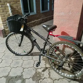 Satlyk Welik