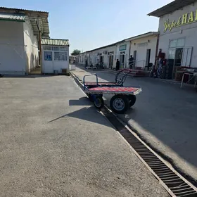 satlyk taçka