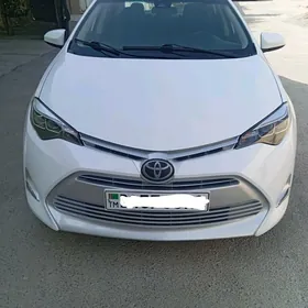 Toyota Corolla 2019