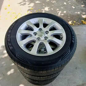 lexus radnoý disge pakryşga 16