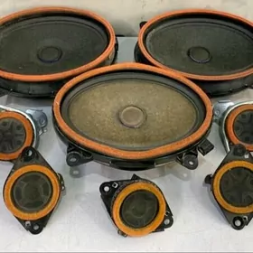 JBL kalonka palta avalon XLE