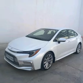 Toyota Corolla 2022