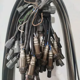 Katalizator datcik