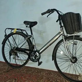 tigir ÿapoşka 27