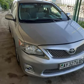 Toyota Corolla 2010