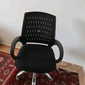 Satlyk Kresla yagdayi gowy
