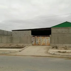 Satlyk Nebitçi 11