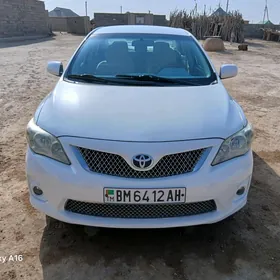 Toyota Corolla 2010