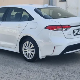 Toyota Corolla 2021