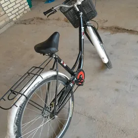 welsepet 26lyk