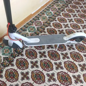 tokkly samakat