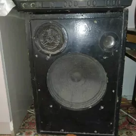 Toy kalonka