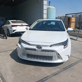 Toyota Corolla 2020