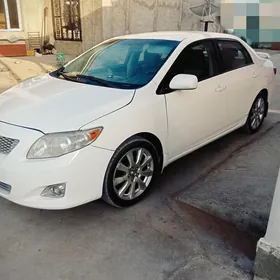 Toyota Corolla 2008
