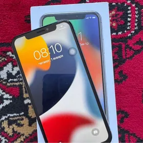 iPhone X