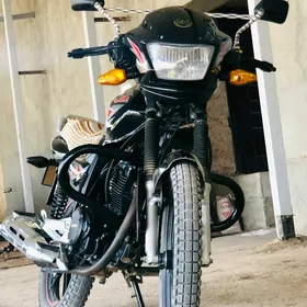 Fekon FK200-14G 2023