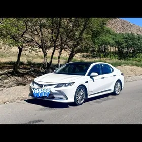 Toyota Camry 2019