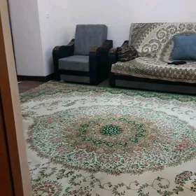 Аренда Цирк arenda сдаю
