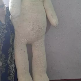 ak aýyjyk