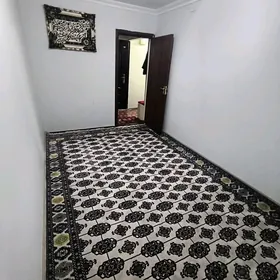 SATLYK JAÝ EÝESINDEN